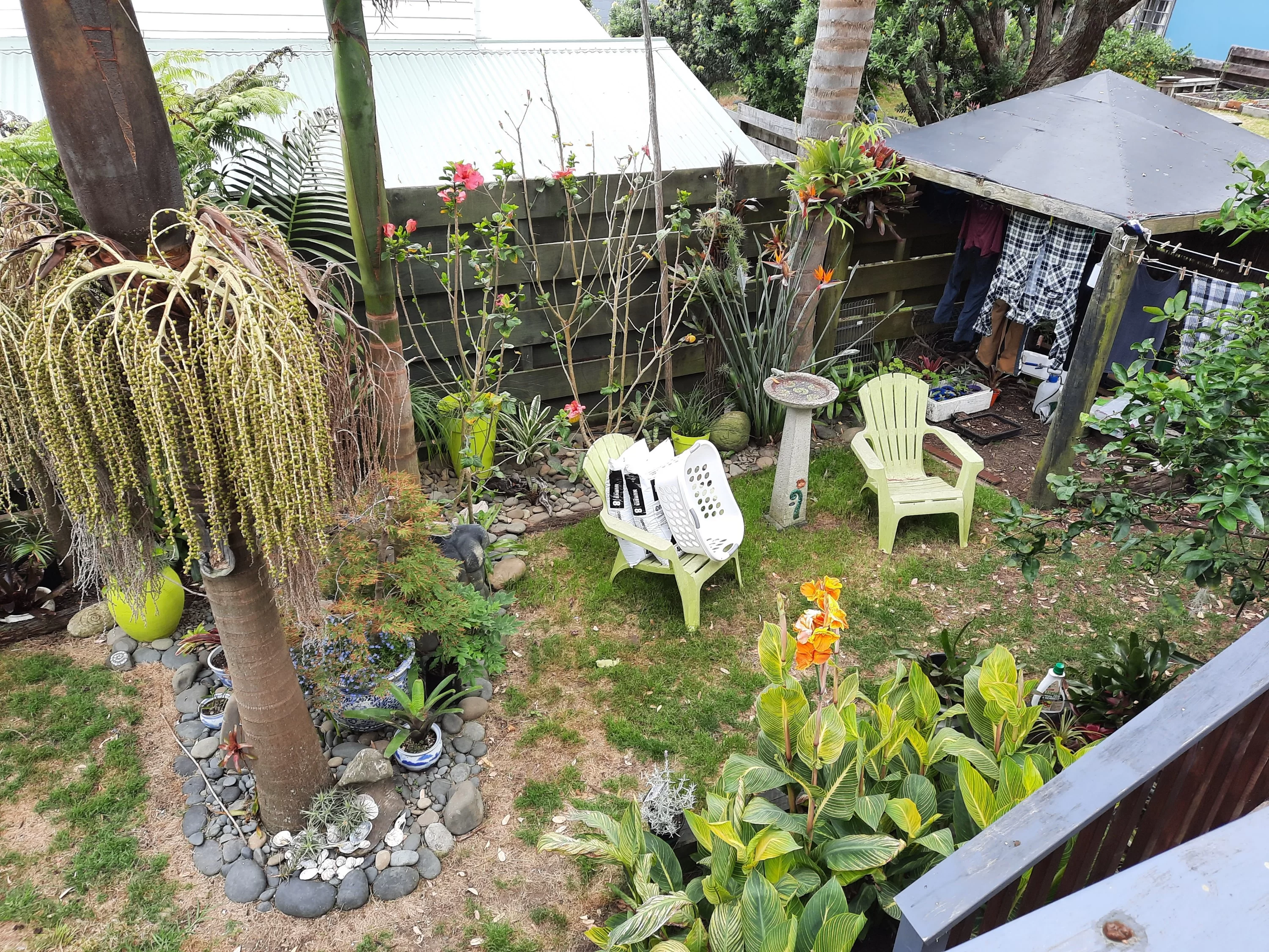 20201207_095633_copy_3000x2250.webp