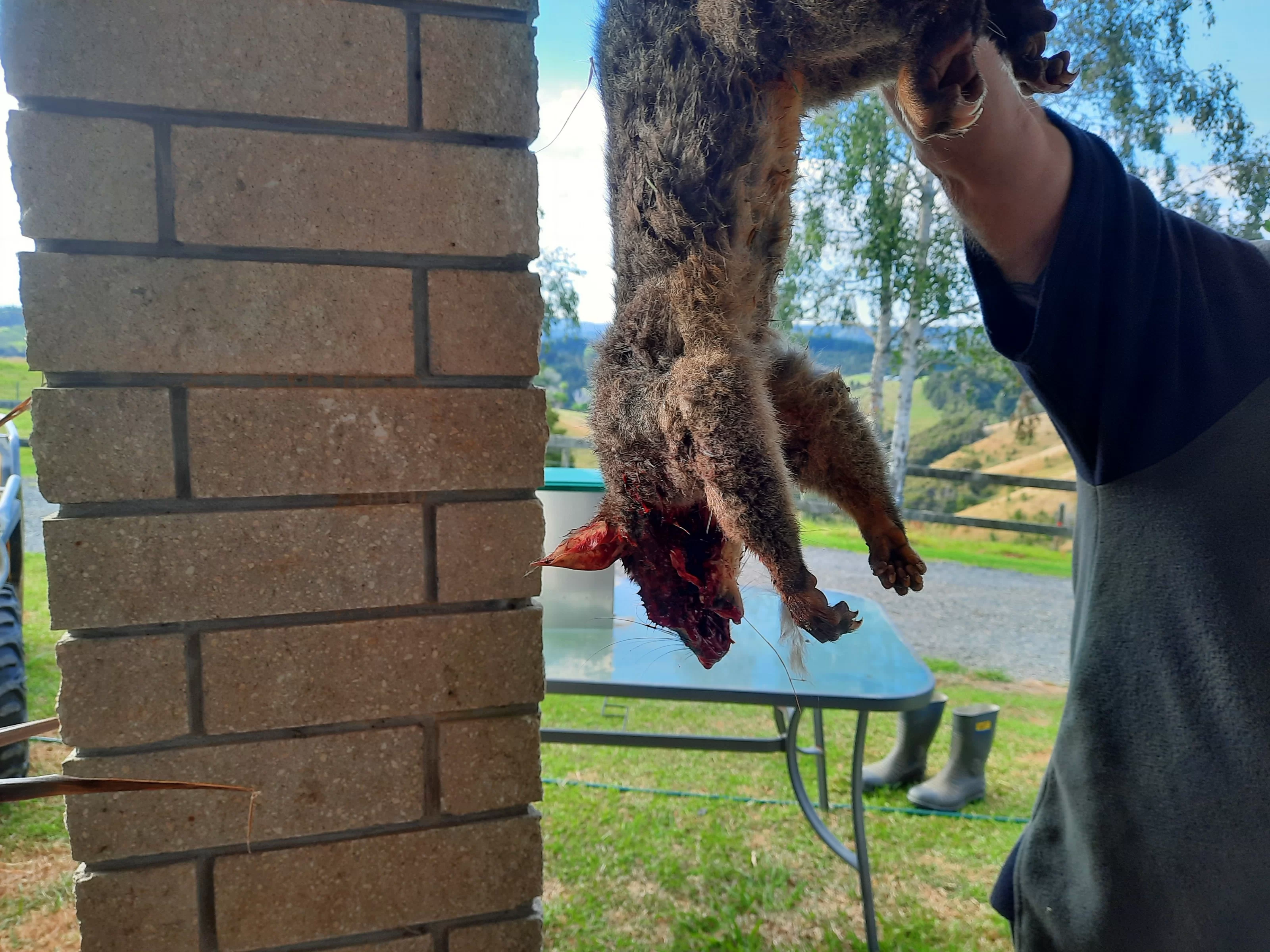 20201220_183041_copy_3200x2400.webp