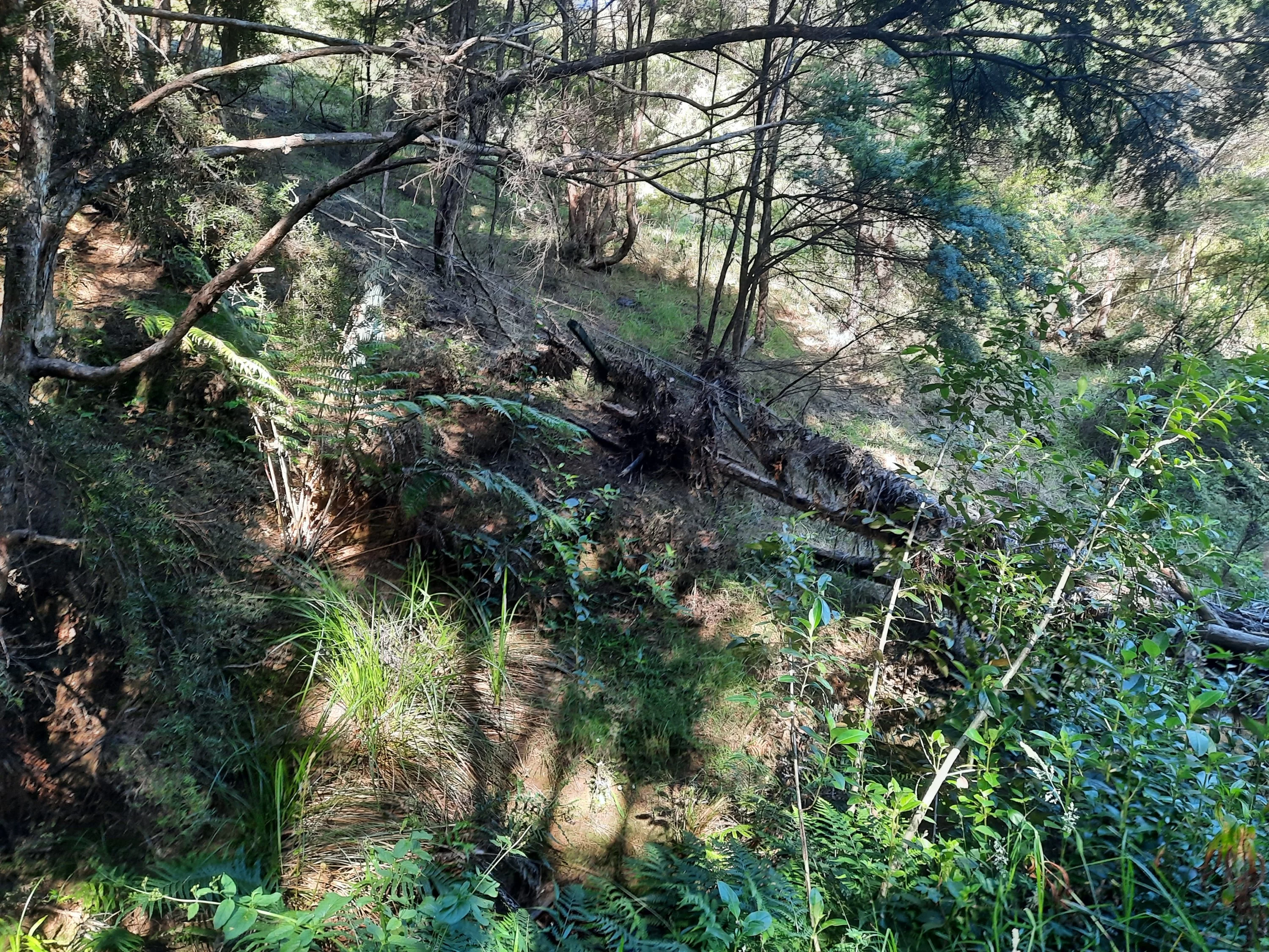 20210115_100829_copy_3000x2250.webp