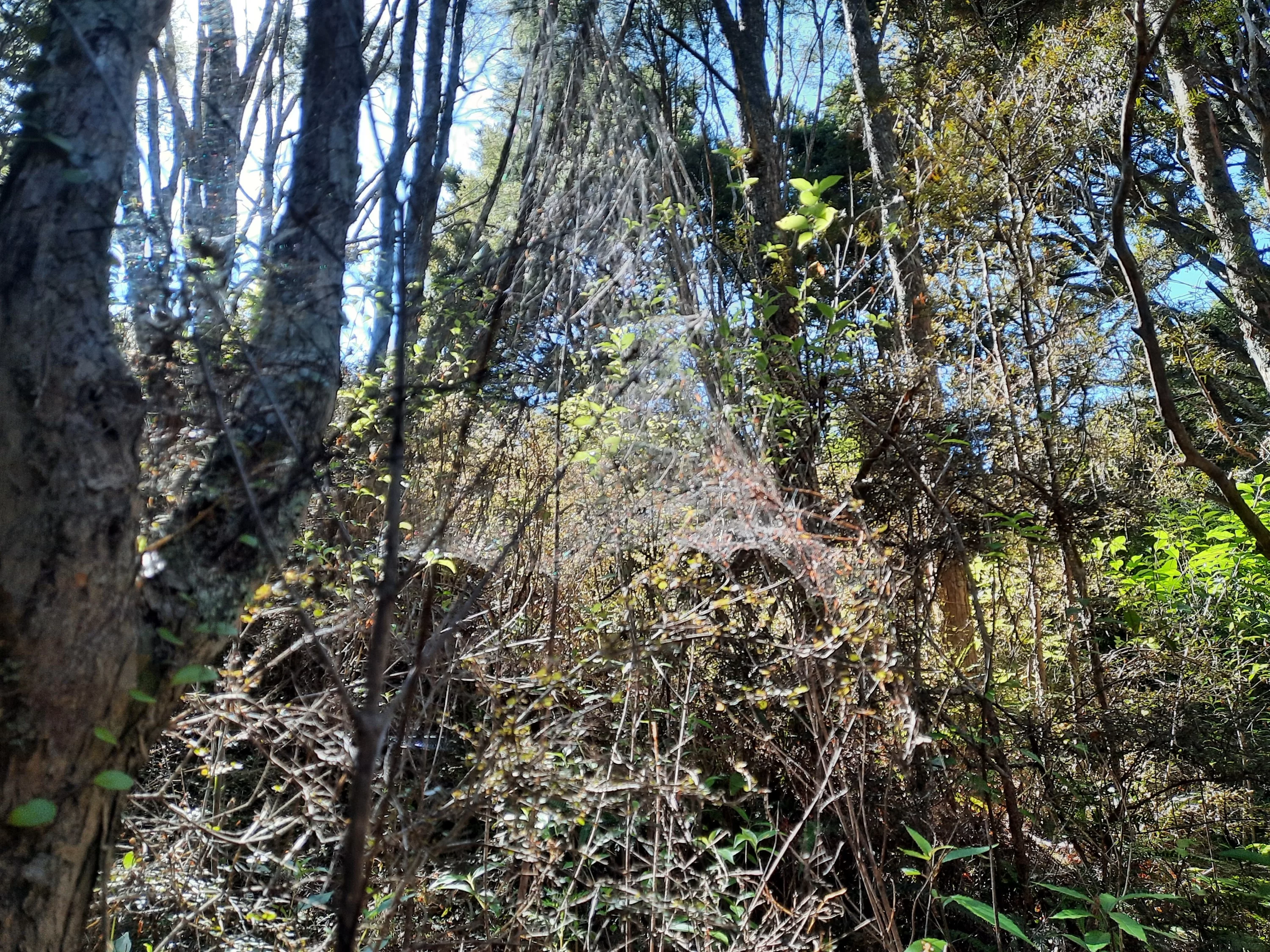 20210115_103658_copy_3000x2250.webp