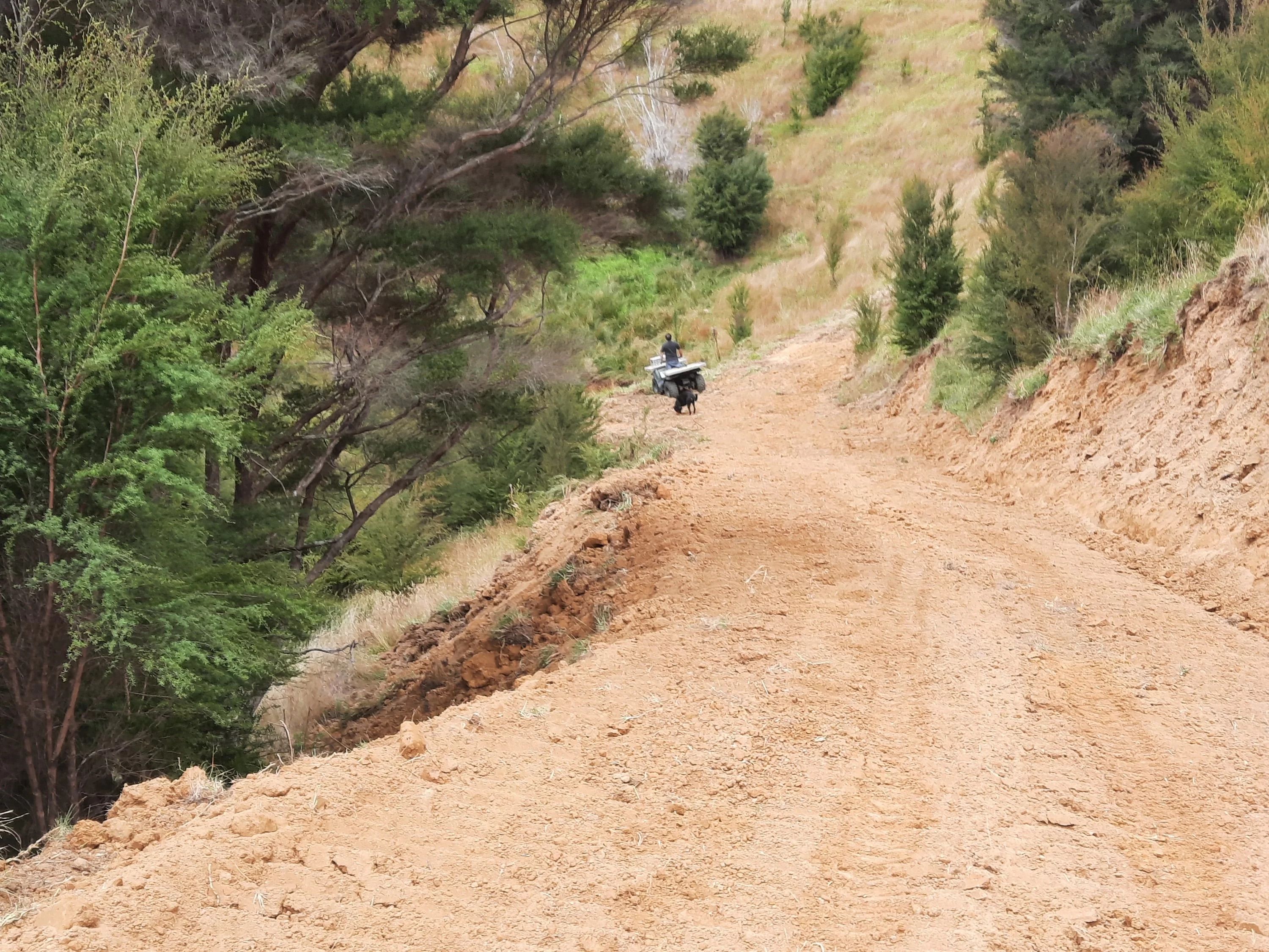 20210119_145133_copy_3000x2250.webp