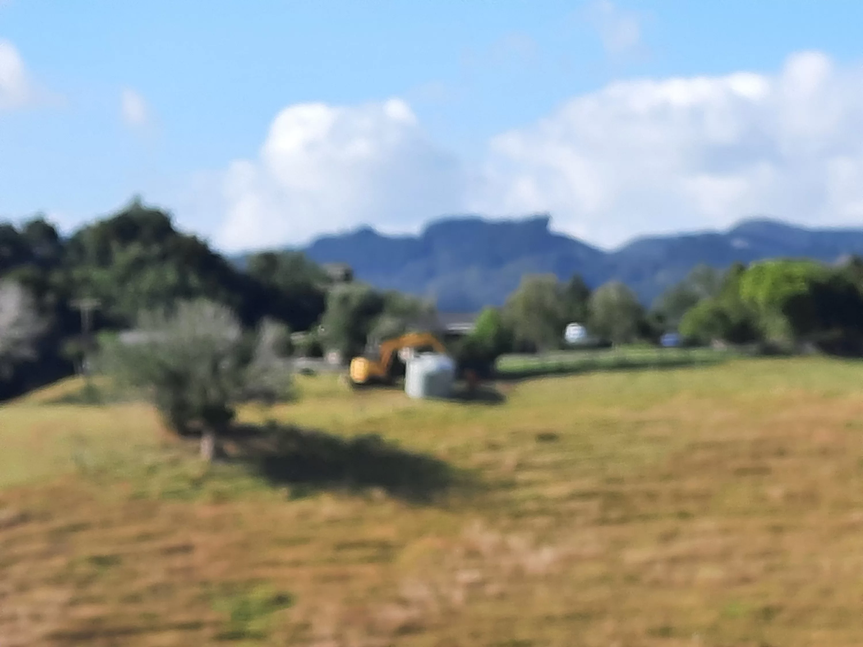 20210125_093317_copy_3000x2250.webp