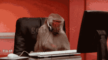 bonobo-gamer.gif