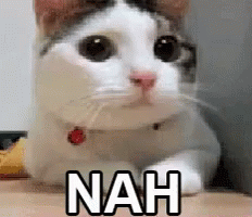cat-nah.gif