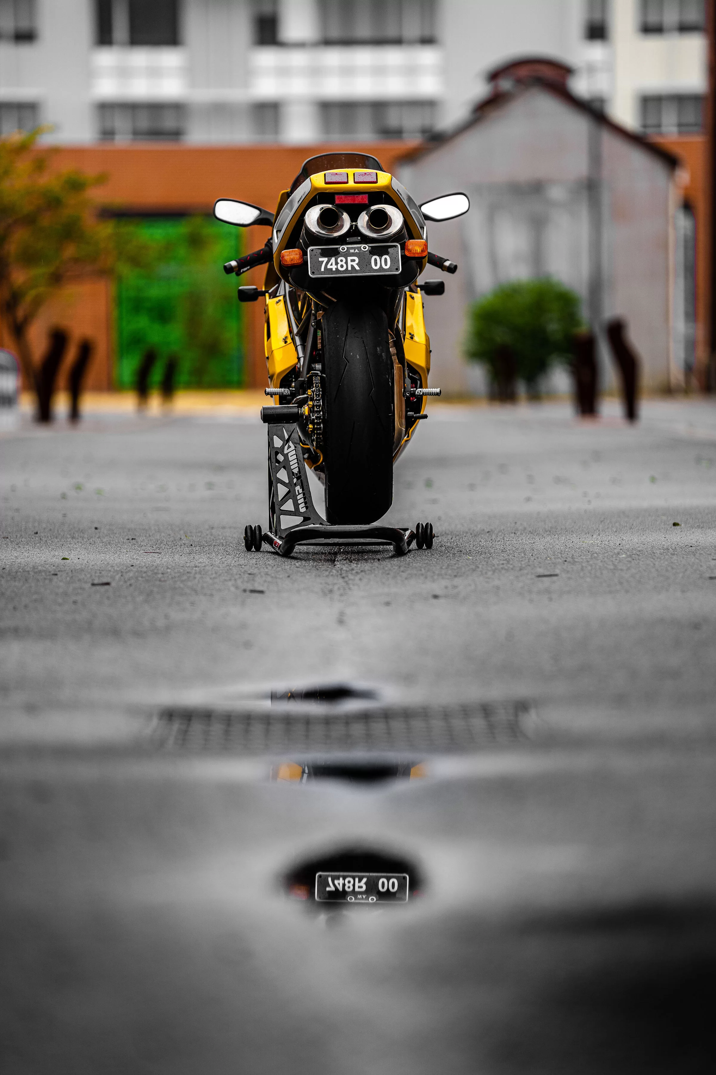 DSC01894.webp