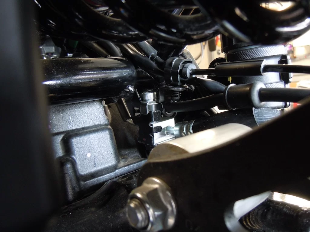 DSCN5468.webp