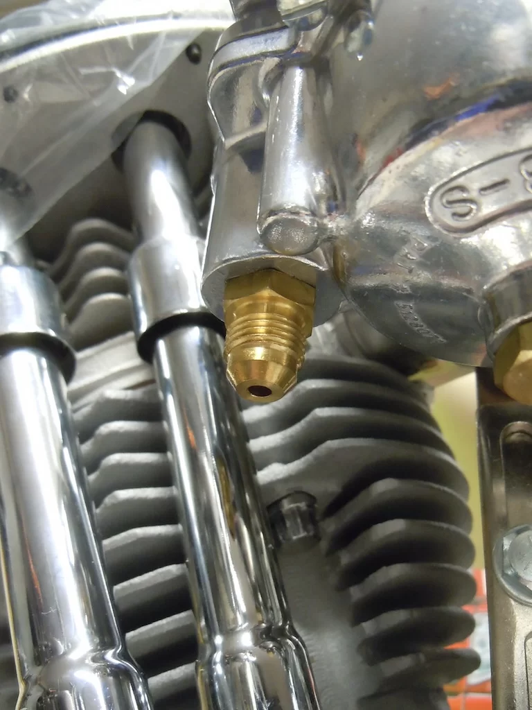 DSCN5556.webp