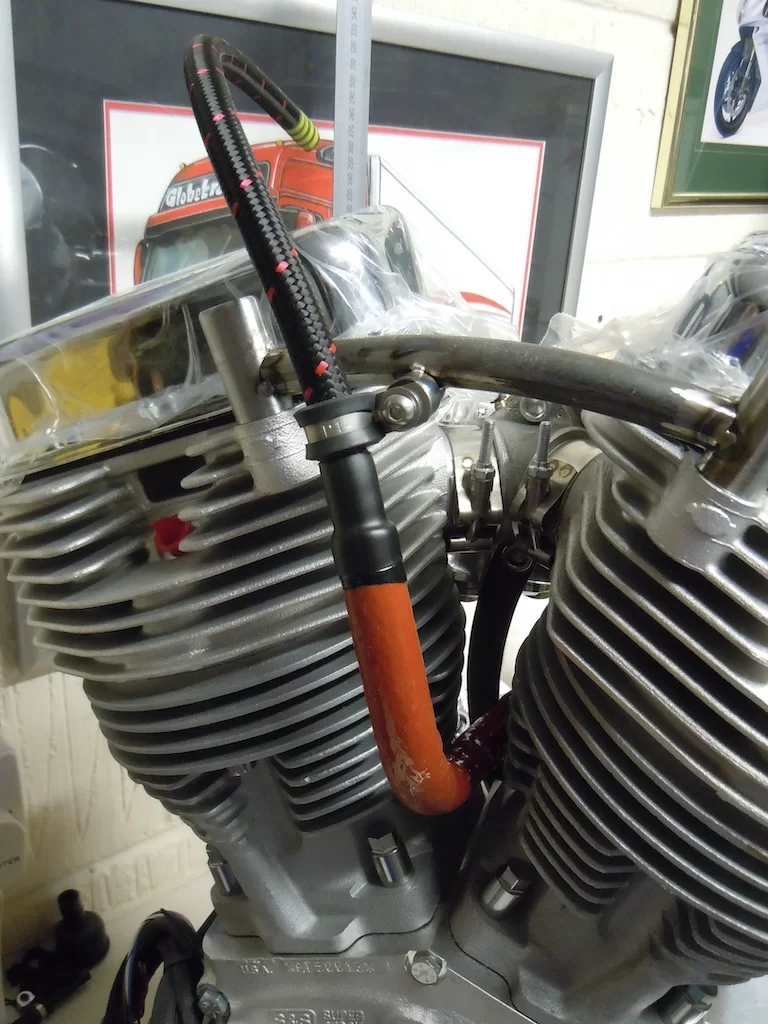 DSCN5582.webp