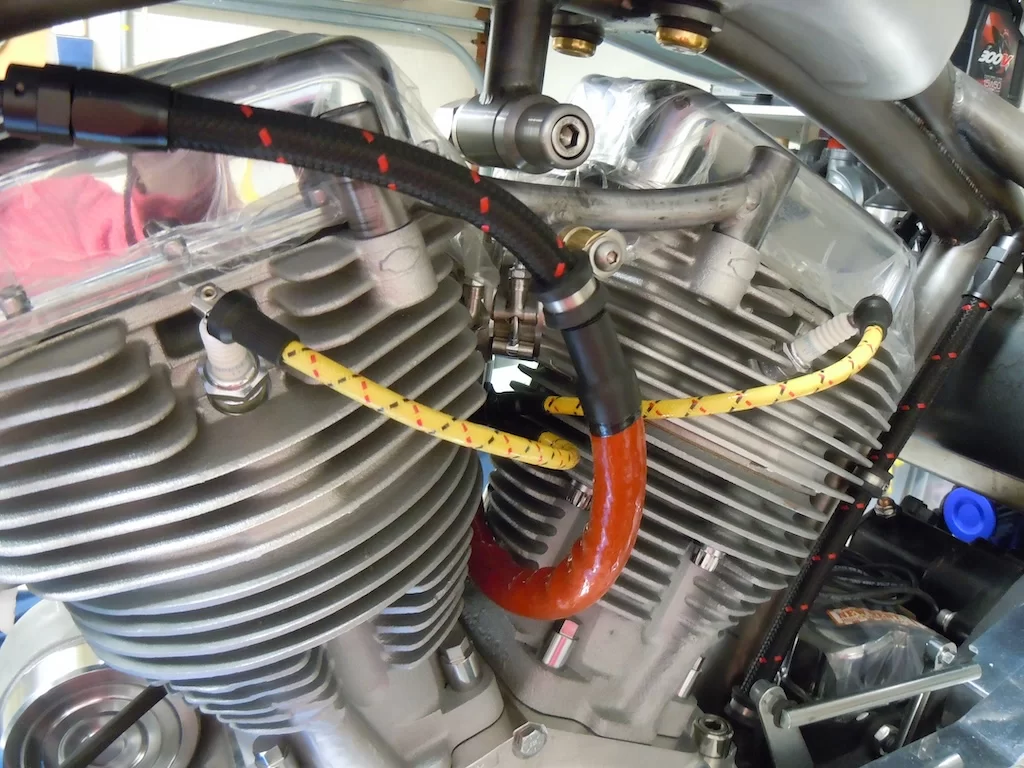 DSCN5672.webp