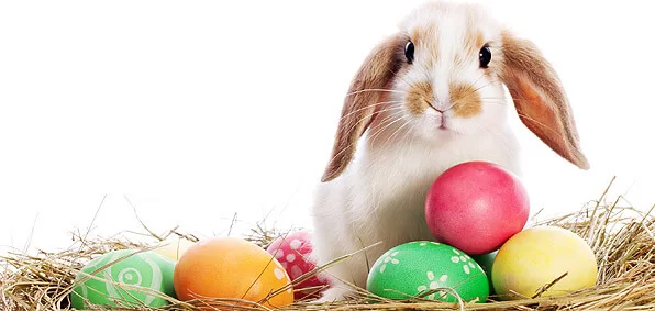 easter1.webp