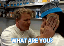 idiot-sandwich-gordon-ramsay (1).gif