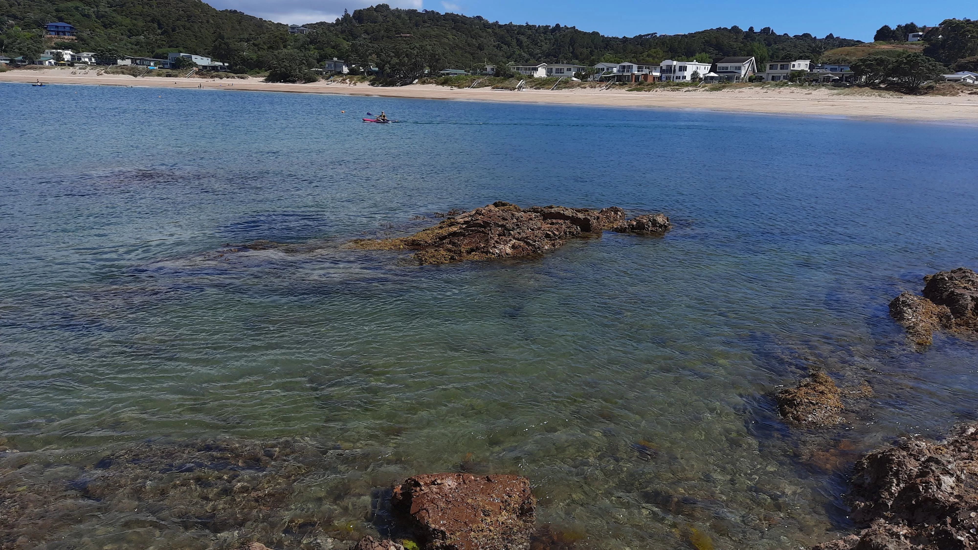 IMG-20210110-WA0000.webp