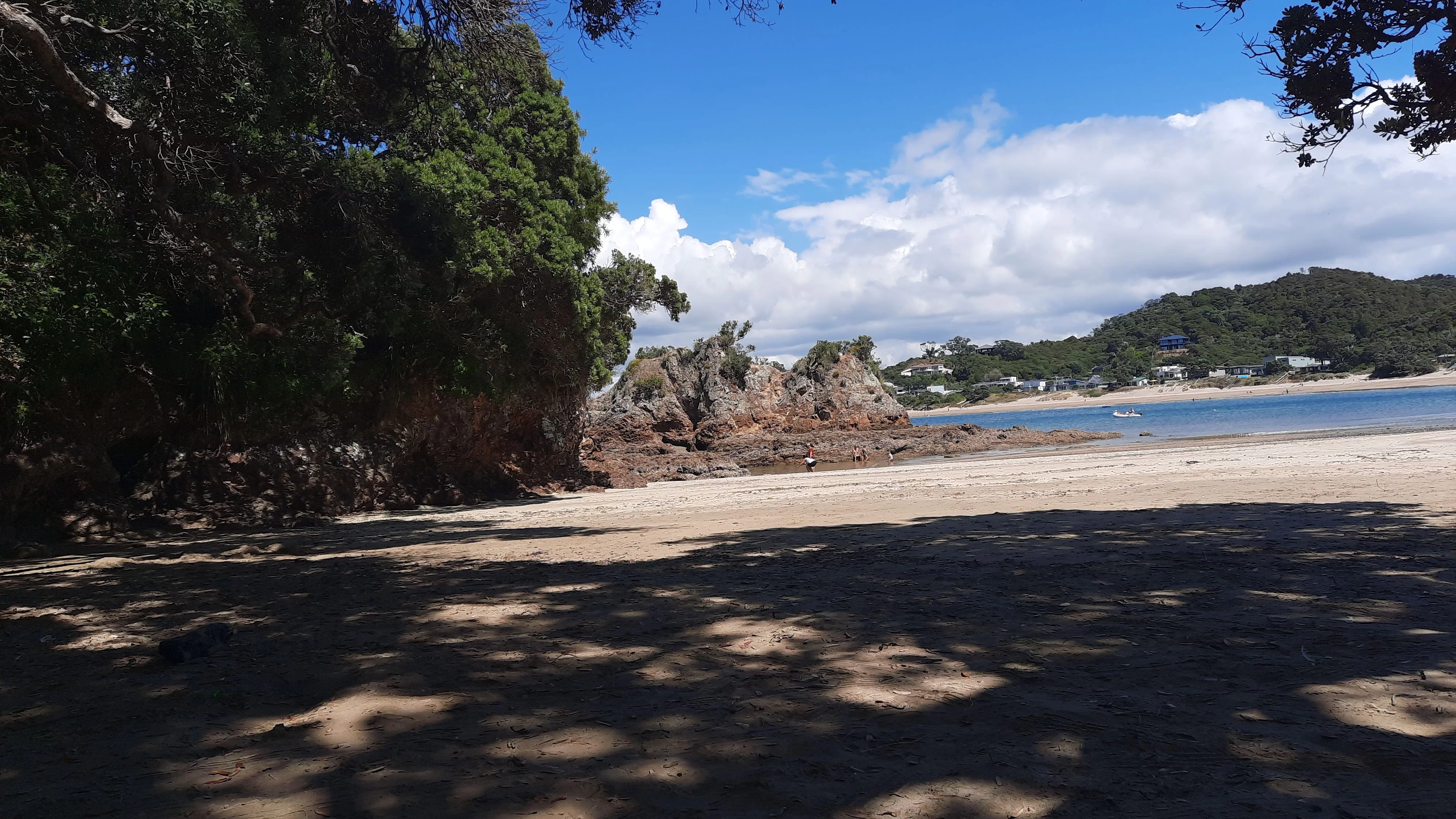 IMG-20210110-WA0008.webp