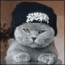 IMG_2263.gif