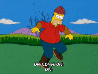 IMG_2509.gif