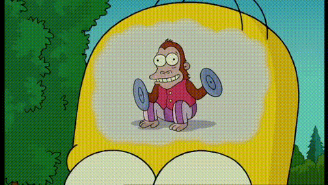 IMG_5247.gif