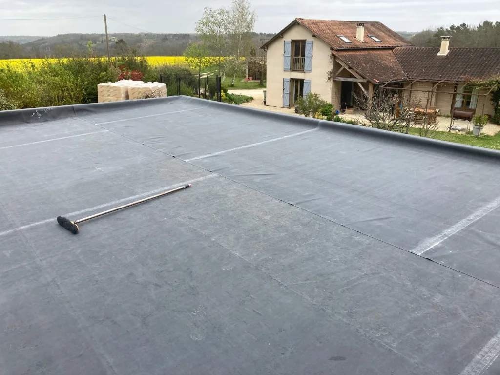 Roof 3.webp