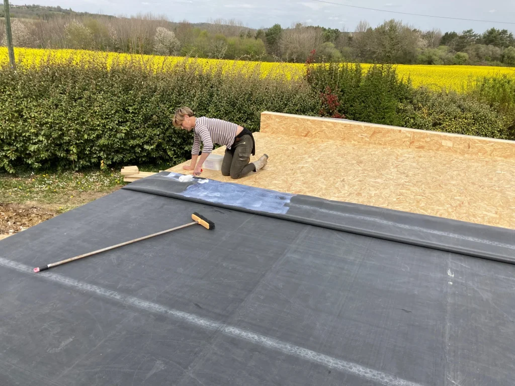 Roof 4.webp