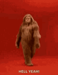 yeti-cat-walk.gif