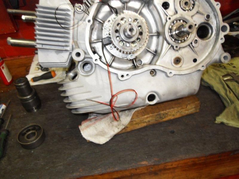 SDC12655.jpg