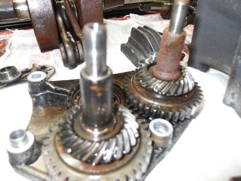 SDC12522.jpg