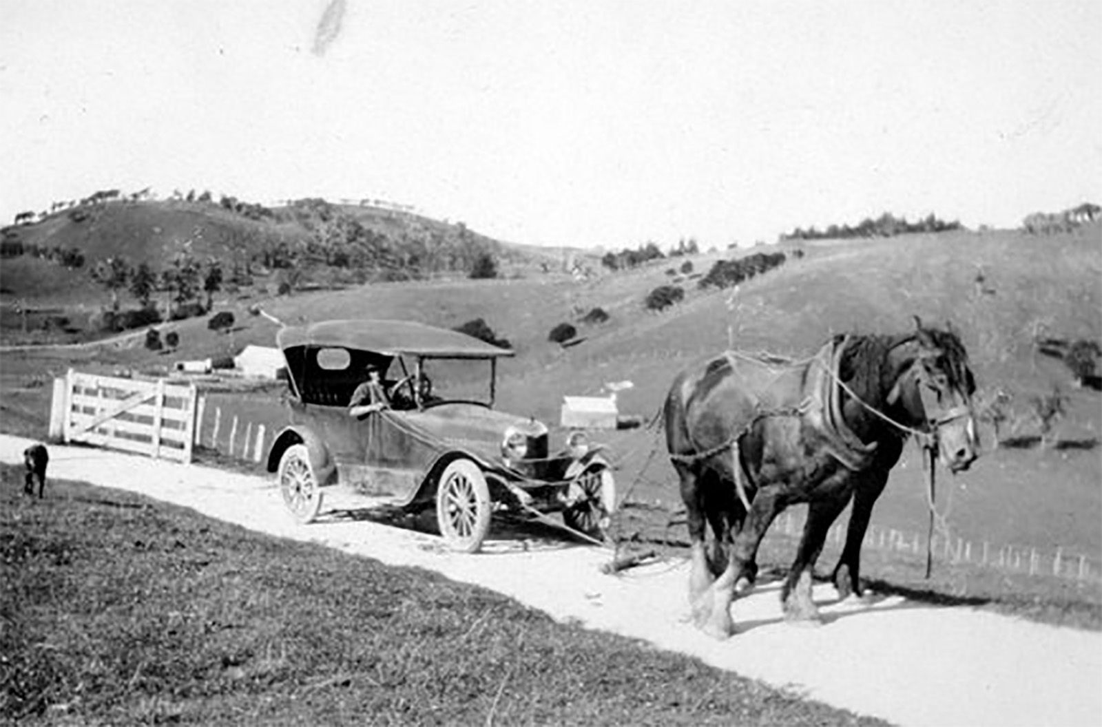 One horsepower | Horses, Old photos, Historical