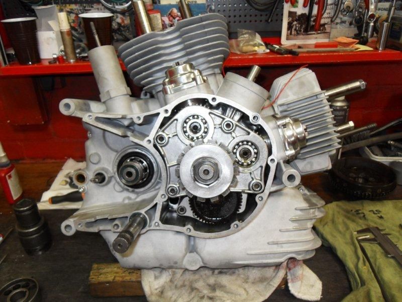 SDC12657.jpg