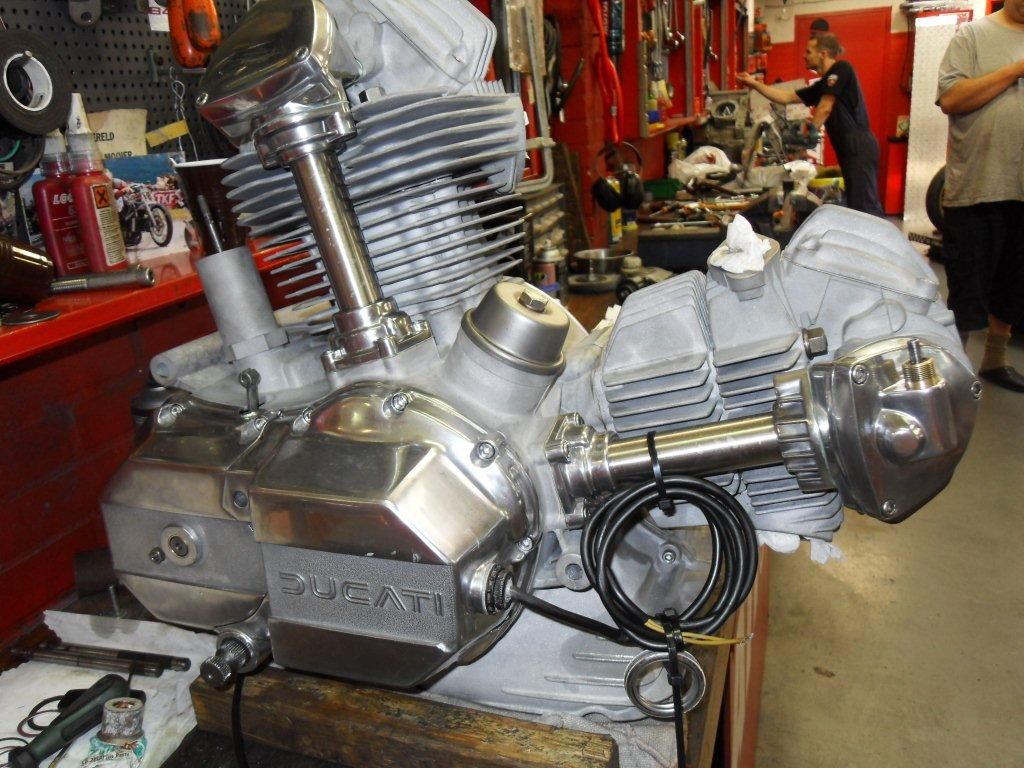 SDC12673.jpg