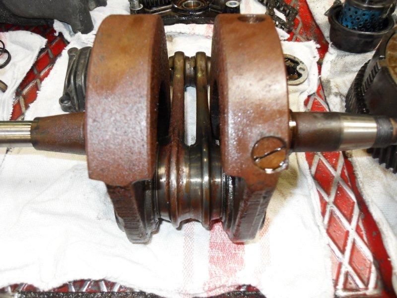 SDC12514.jpg