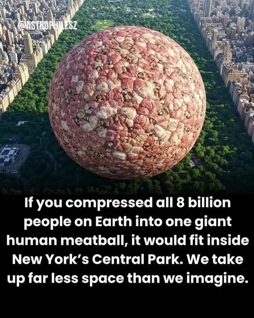 1747686759174.webp