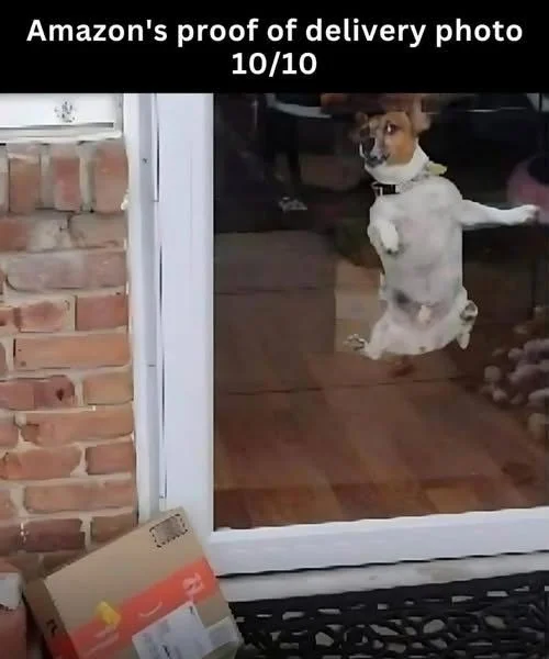 1787764992306.webp