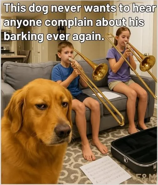 1791390071480.webp