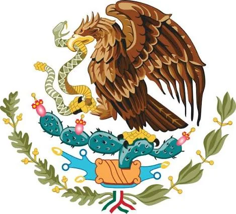 1791582348217.webp