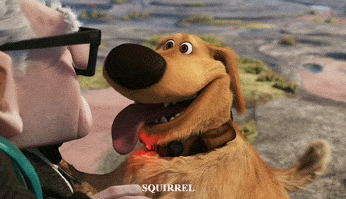 49EF058B-8C31-404C-845B-72B94C4E7072.gif
