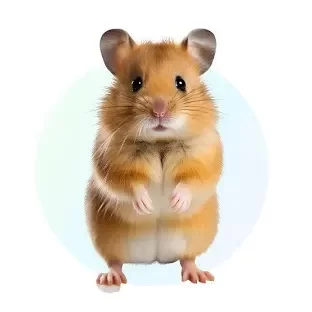 downloadhamster.webp