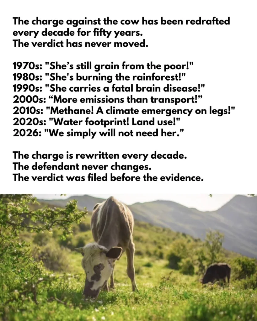 FB_IMG_1786027556077.webp