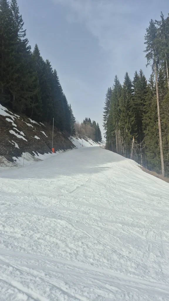 IMG-20260305-WA0010.webp