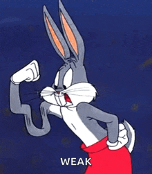 IMG_3144.gif