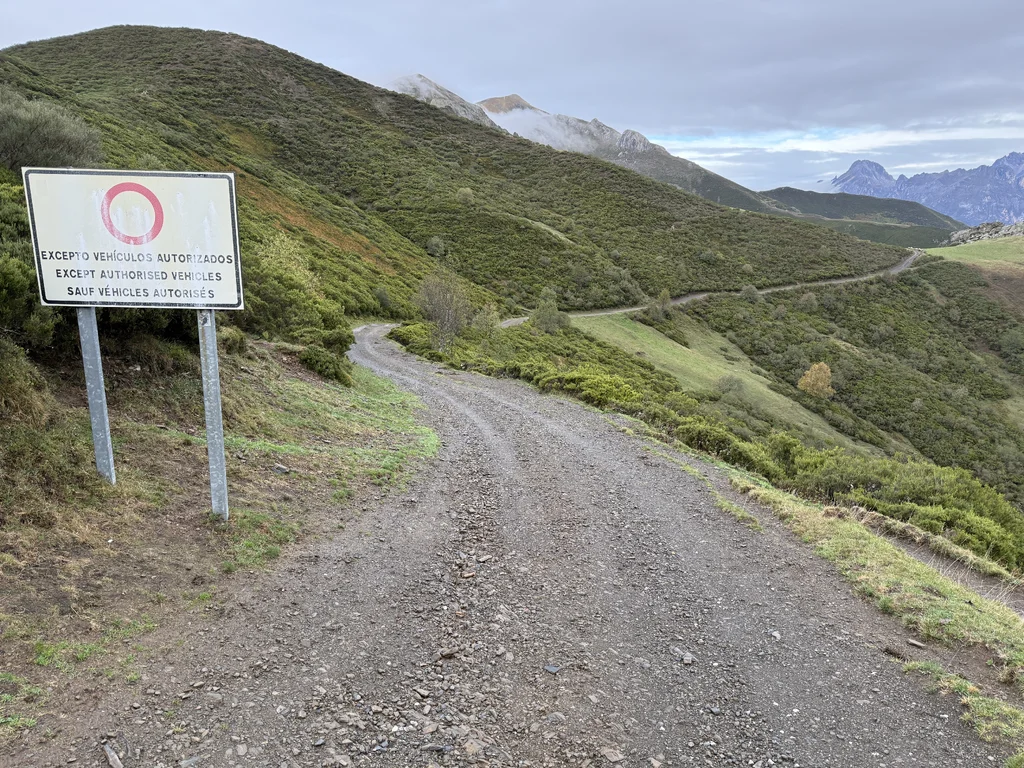 IMG_5609.webp