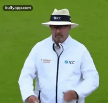 its-out-cricket.webp
