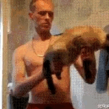 machine-gun-cat.gif
