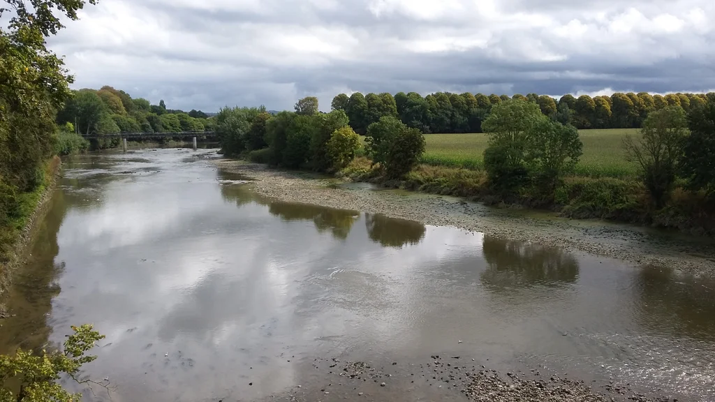 river.webp