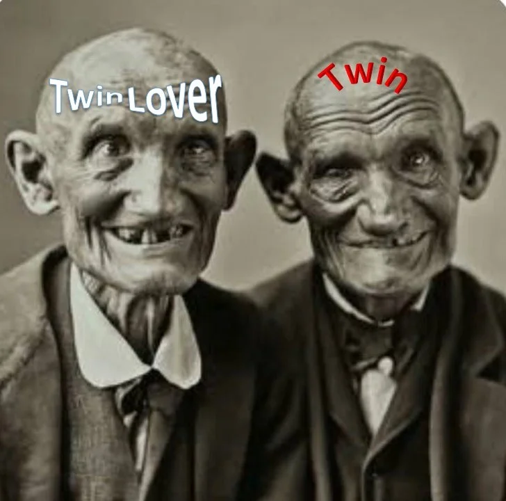 Twin Lovers Twin.webp