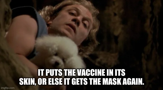 vaxx.webp