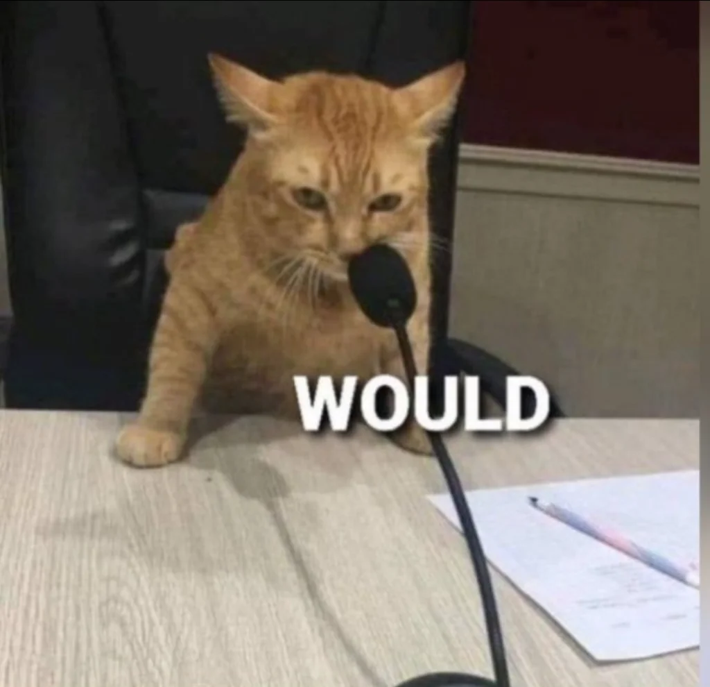 Would003.webp