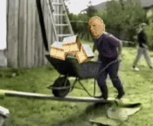Wheelbarrow GIFs | Tenor