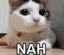 Amanchabukswar GIF - Amanchabukswar GIFs